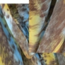 item279726428b5.jpg